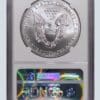 A silver eagle is in an air bubble