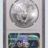 A silver eagle is in an air bubble.