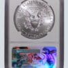 A silver eagle is shown next to an image of the american flag.