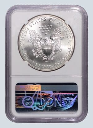Closeup of silver eagle reverse details